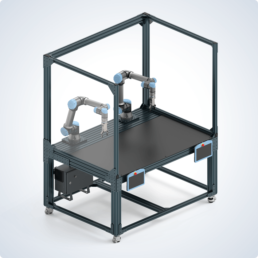 Dual Arm Robot Stations